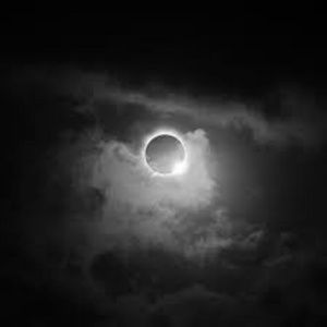 Meet your Posher, Ace